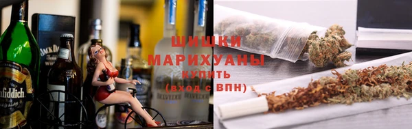 индика Вязьма