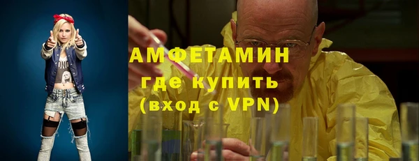 гашик Вяземский