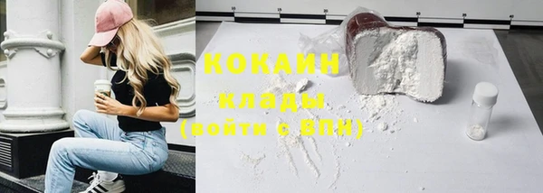 гашик Вяземский