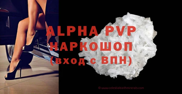 индика Вязьма
