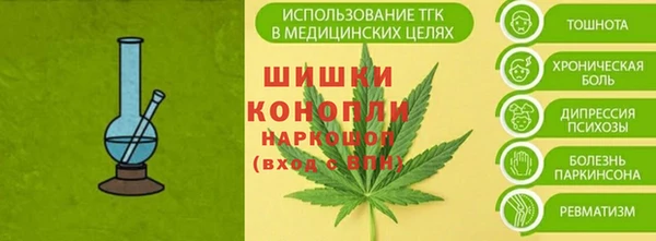 индика Вязьма