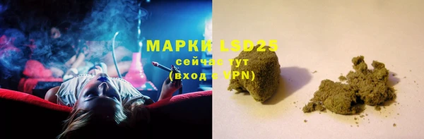 гашик Вяземский