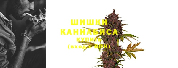 гашик Вяземский