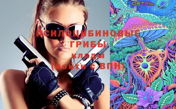гашик Вяземский