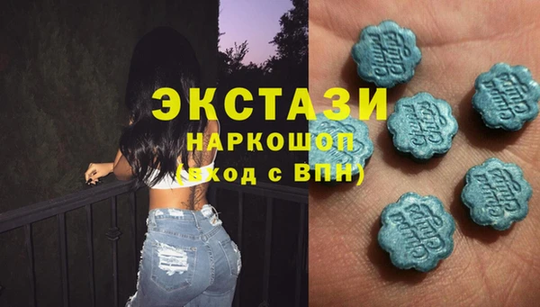 индика Вязьма
