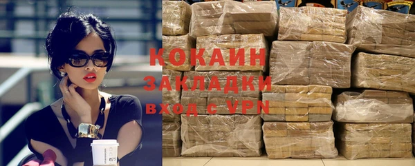 гашик Вяземский