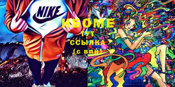 индика Вязьма