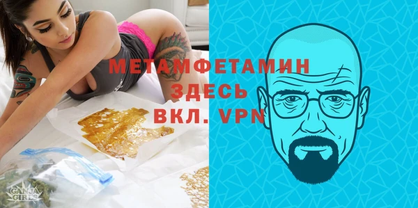 индика Вязьма