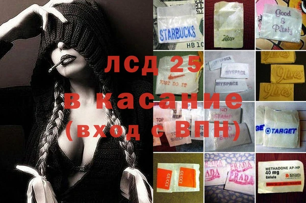 гашик Вяземский