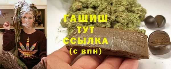 индика Вязьма