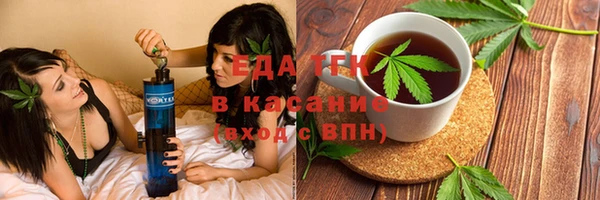 индика Вязьма
