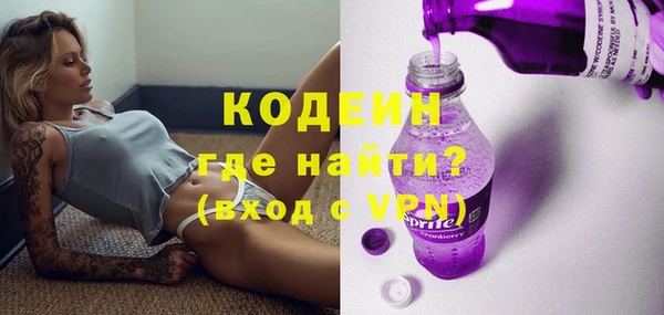 индика Вязьма