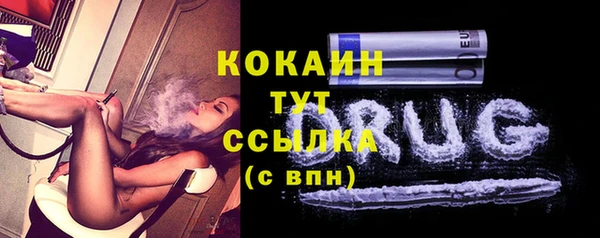 индика Вязьма