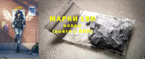 индика Вязьма