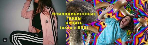 гашик Вяземский