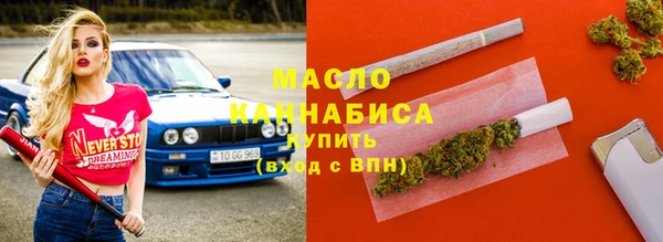 индика Вязьма