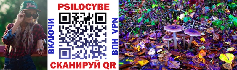 Купить где  Пионерский  Галлюциногенные грибы ЛСД 