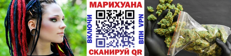 Купить  Пионерский  Каннабис сатива 